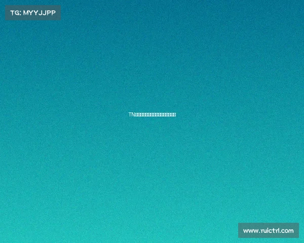 TN电竞风云录：揭秘领军者的崛起之路